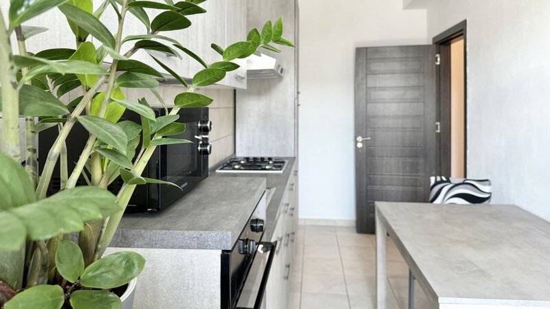 Parcul Teilor, de inchiriat apartament 2 camere, centrala proprie.